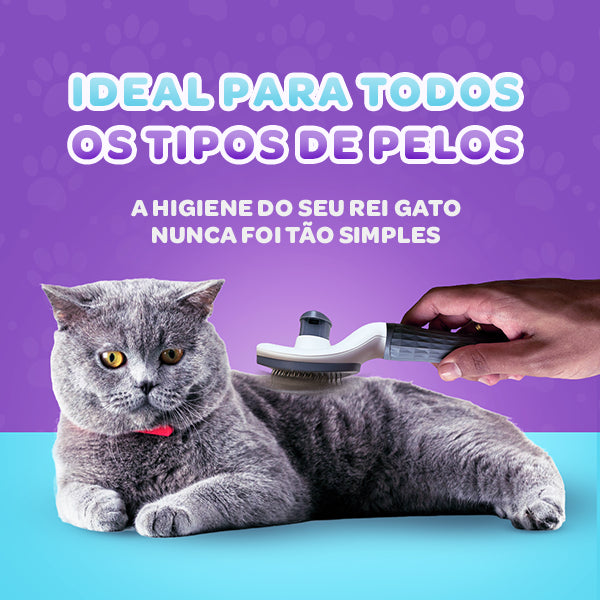 Escova Mágica© Autolimpante Para Gatos - REI GATO