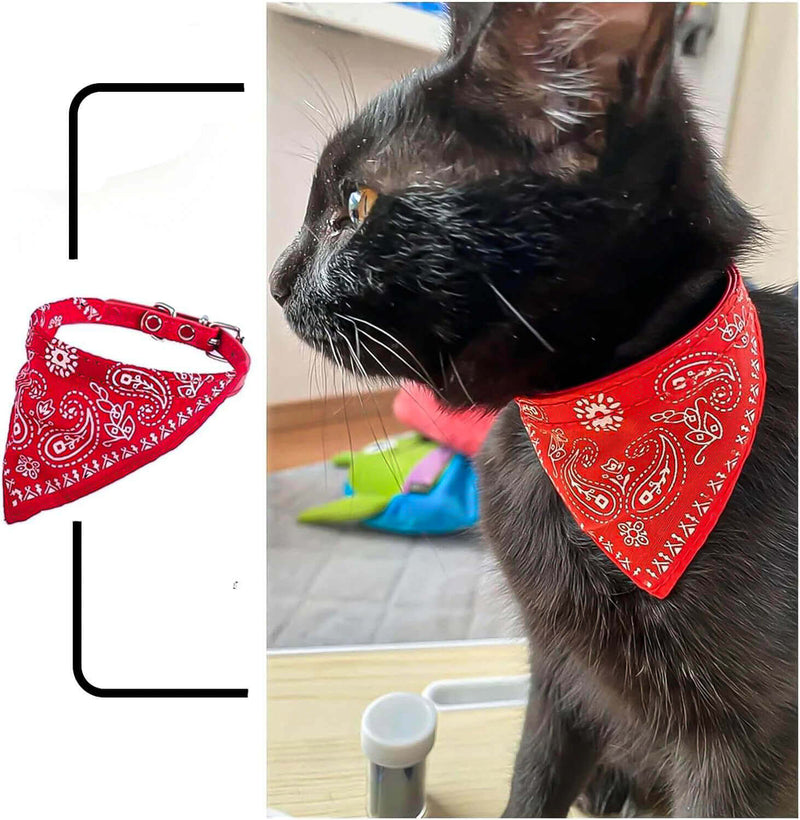 Bandana-Coleira© Para Gatos - Rei Gato