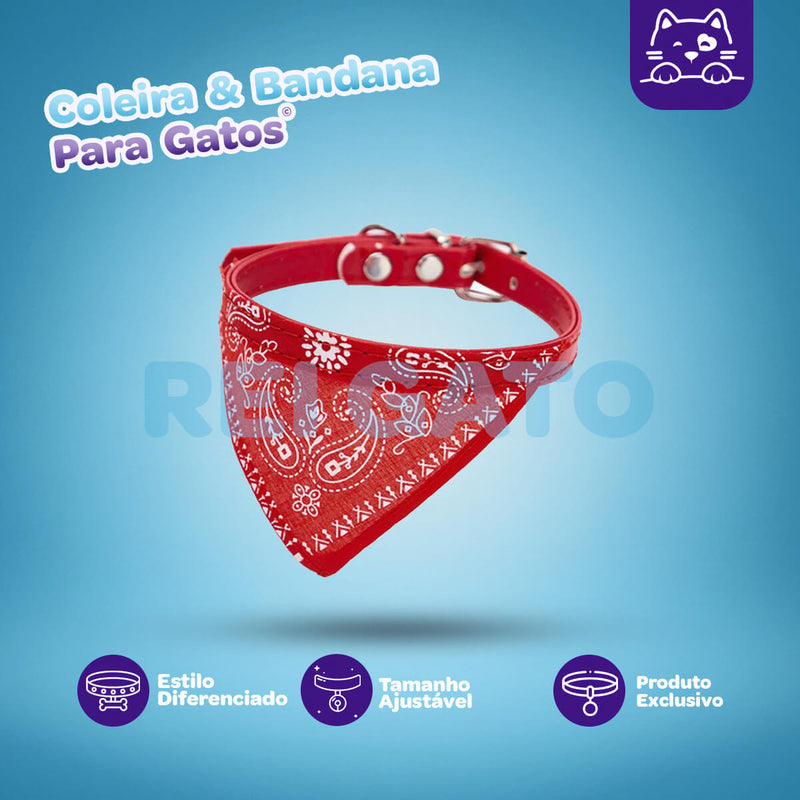 Coleira e Bandana© Para Gatos - Rei Gato