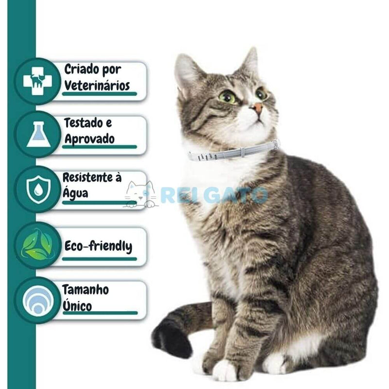 Coleira Anti-pulgas para Gatos - REI GATO©️  + Brinde Exclusivo