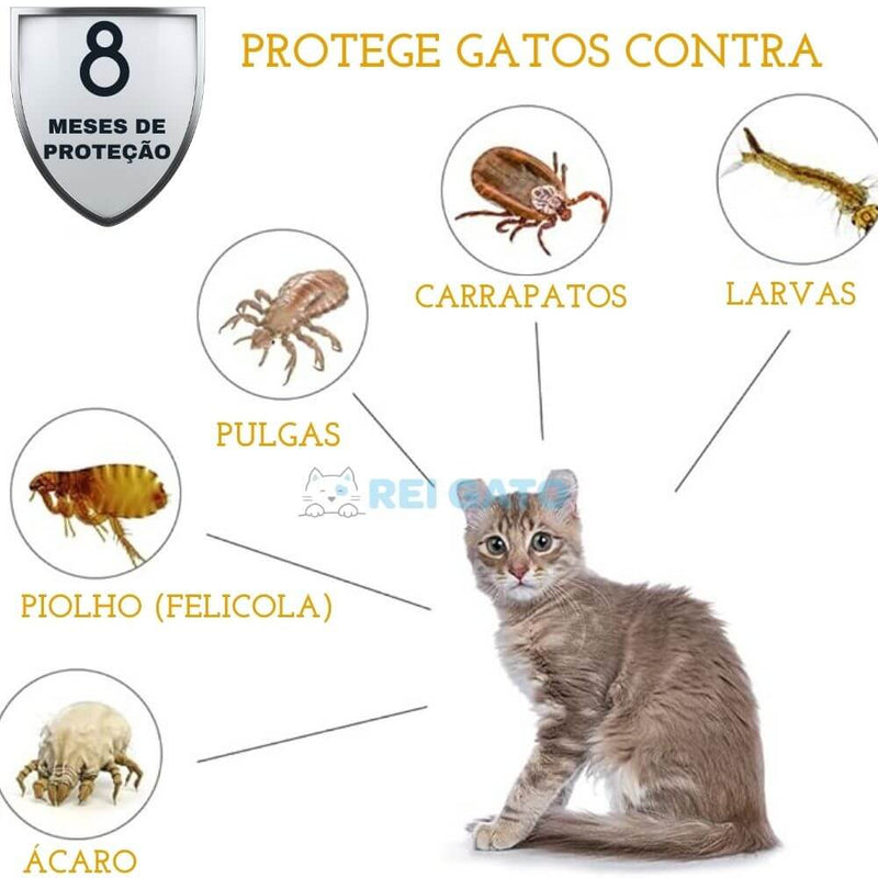 Coleira Anti-pulgas para Gatos - REI GATO©️  + Brinde Exclusivo