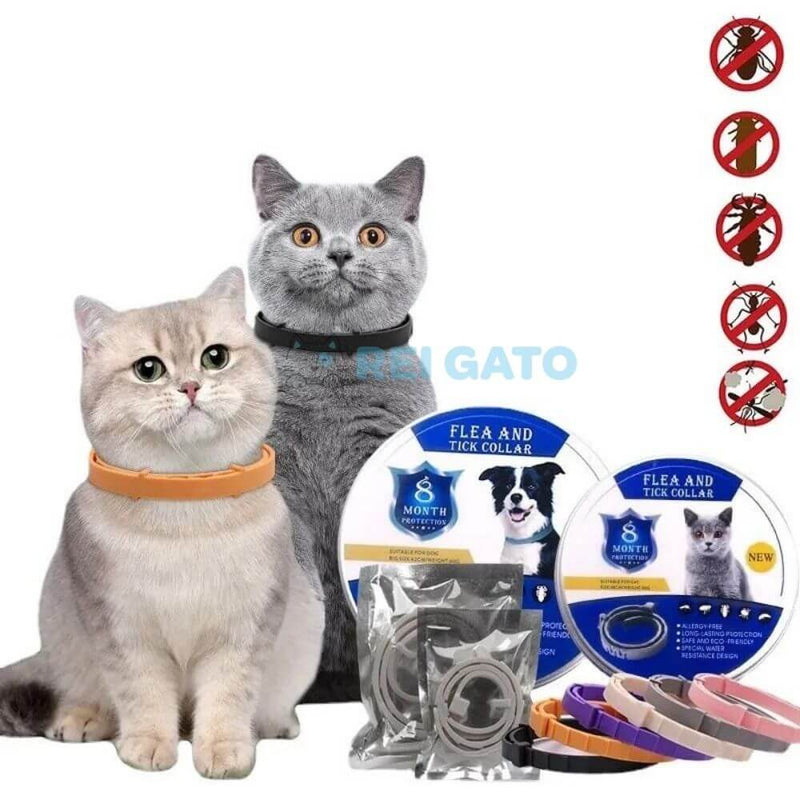 Coleira Anti-pulgas para Gatos - REI GATO©️  + Brinde Exclusivo