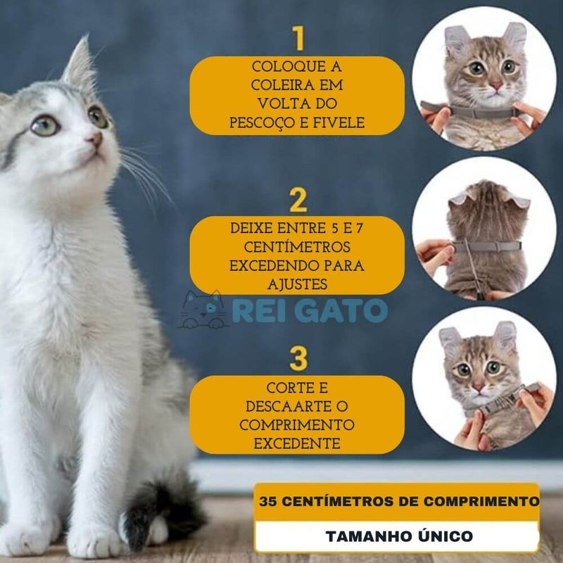 Coleira Anti-pulgas para Gatos - REI GATO©️  + Brinde Exclusivo