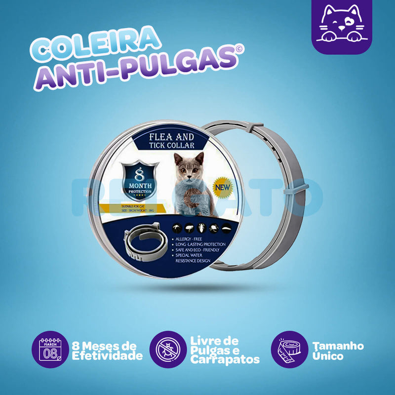 Coleira Anti-pulgas para Gatos - REI GATO©️  + Brinde Exclusivo