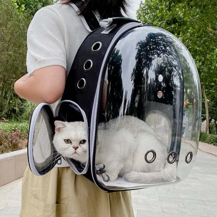 Mochila de Transporte Para Gatos Ventilada - REI GATO©️  + Brinde Exclusivo